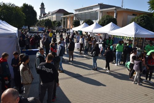 Pályaválasztási Roadshow 2025. - Tamási